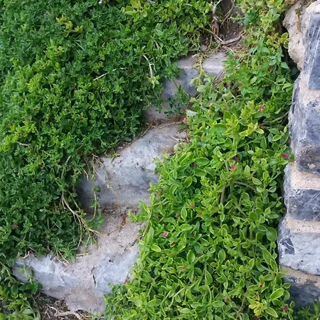 βay Apartament Rodakino